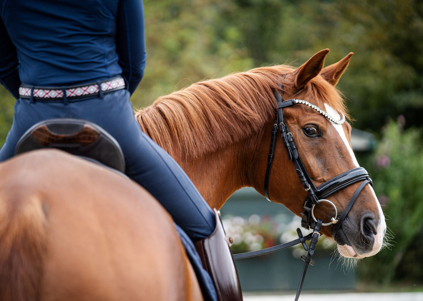 Stirnriemen CRYSTAL HEART